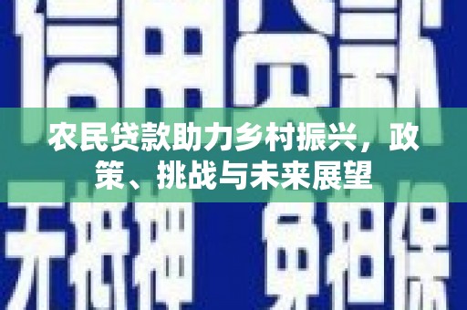龟山农民贷款助力乡村振兴，政策、挑战与未来展望