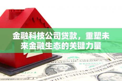 扎鲁特旗金融科技公司贷款，重塑未来金融生态的关键力量