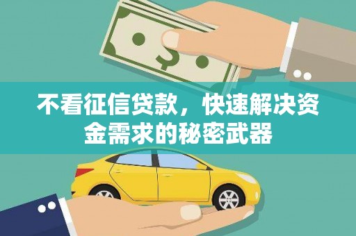 樊城不看征信贷款，快速解决资金需求的秘密武器