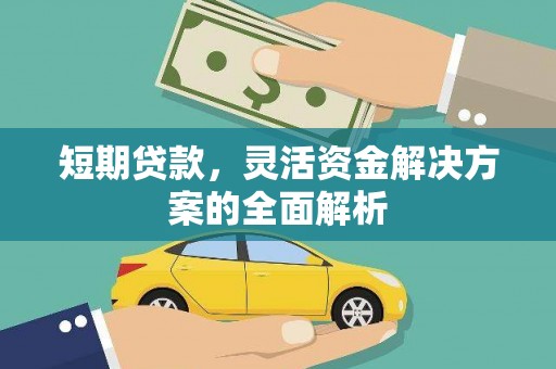 安岳短期贷款，灵活资金解决方案的全面解析