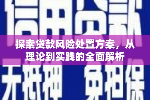 盖州探索贷款风险处置方案，从理论到实践的全面解析