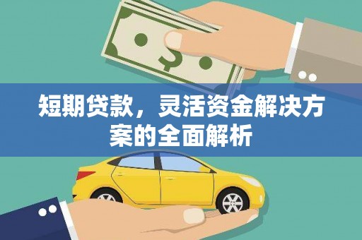 枣阳短期贷款，灵活资金解决方案的全面解析