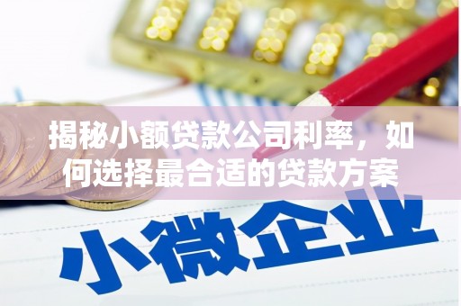 泗县揭秘小额贷款公司利率，如何选择最合适的贷款方案