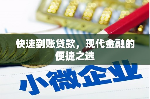 徐闻快速到账贷款，现代金融的便捷之选