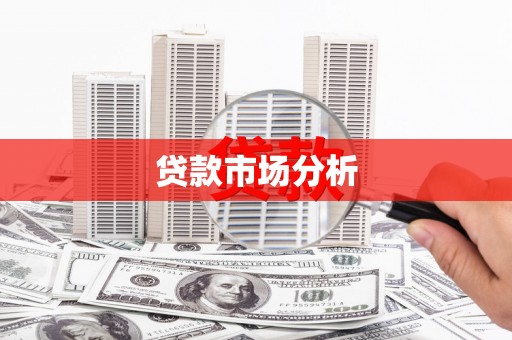 武胜贷款市场分析