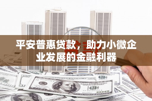 台西平安普惠贷款，助力小微企业发展的金融利器