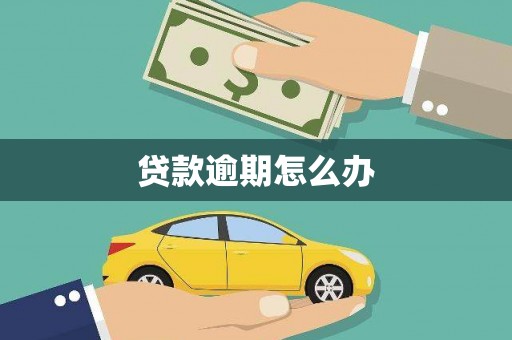 福绵贷款逾期怎么办