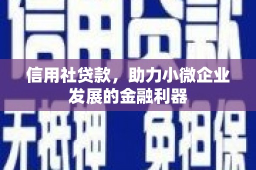 驿城信用社贷款，助力小微企业发展的金融利器