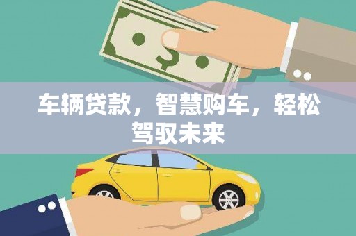 汉南车辆贷款，智慧购车，轻松驾驭未来