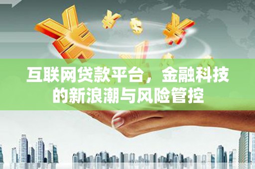 抚远互联网贷款平台，金融科技的新浪潮与风险管控