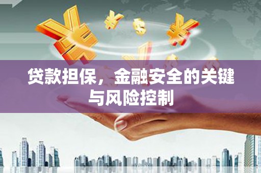 莿桐贷款担保，金融安全的关键与风险控制