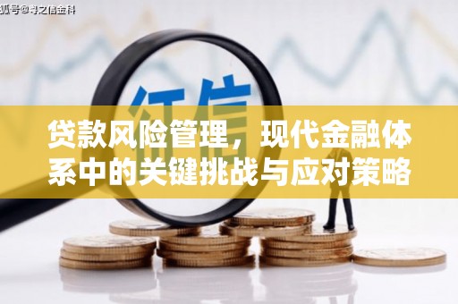 且末贷款风险管理，现代金融体系中的关键挑战与应对策略