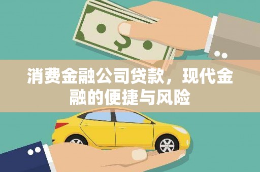 大树消费金融公司贷款，现代金融的便捷与风险