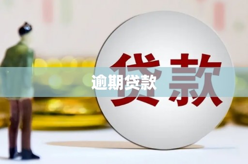 那玛夏逾期贷款