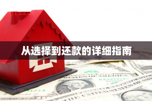 乐东从选择到还款的详细指南