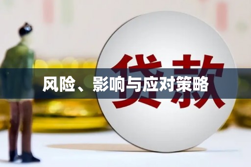 石冈风险、影响与应对策略