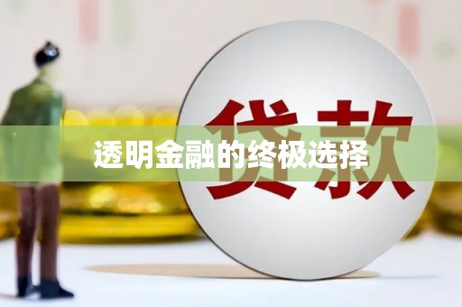 阳山透明金融的终极选择