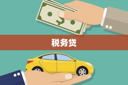 武威税务贷