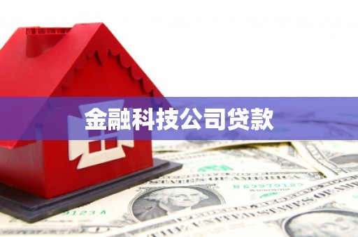 称多金融科技公司贷款