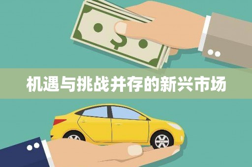 宁明机遇与挑战并存的新兴市场