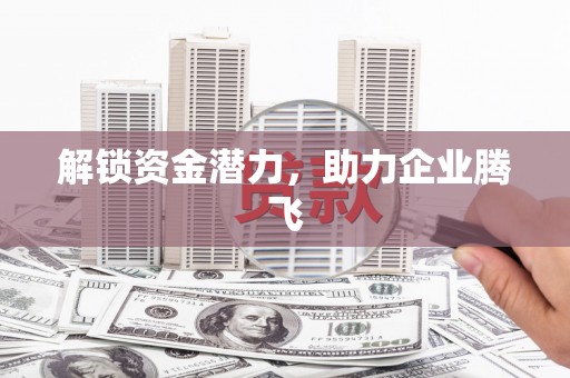 龙山解锁资金潜力，助力企业腾飞