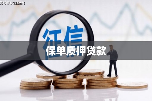 库尔勒保单质押贷款