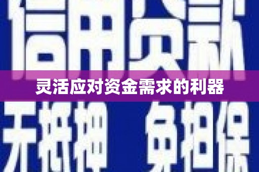 炉霍灵活应对资金需求的利器