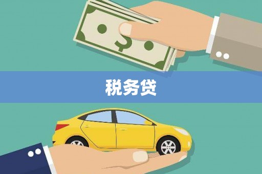 三沙税务贷